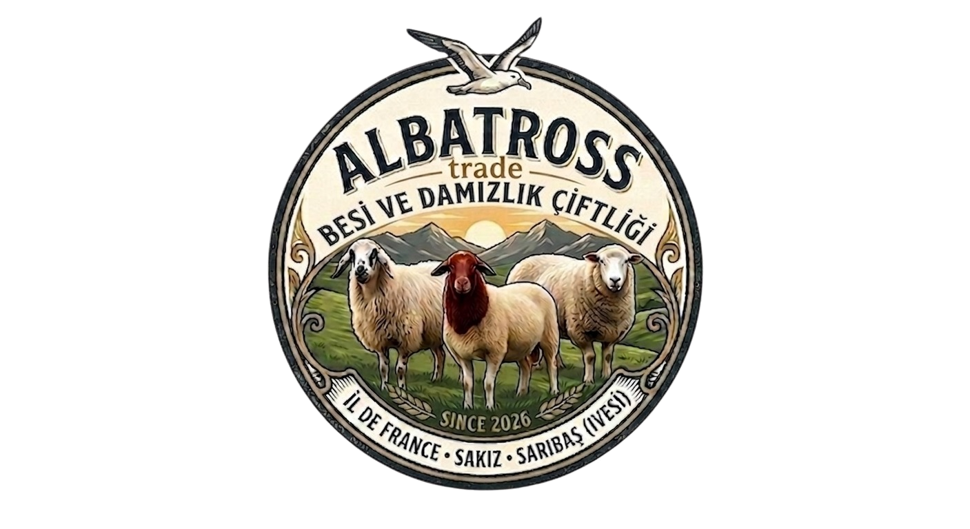 Albatross Ranch
